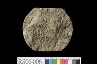 藏品(混濁砂岩)的圖片